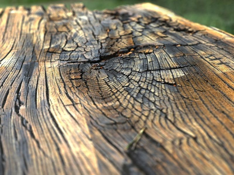 wood 6313611 960 720